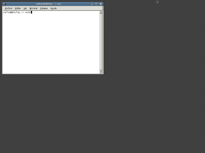 Pantalla gris al conectar con TightVNCServer